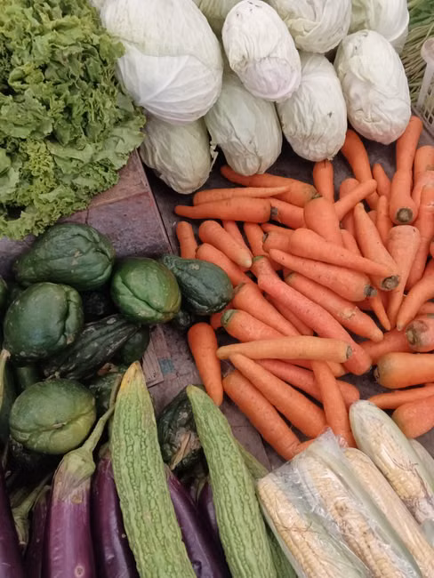 Destaques em Hortifruti